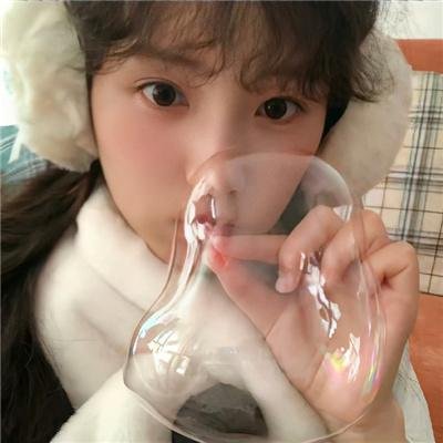 漂亮马驹
